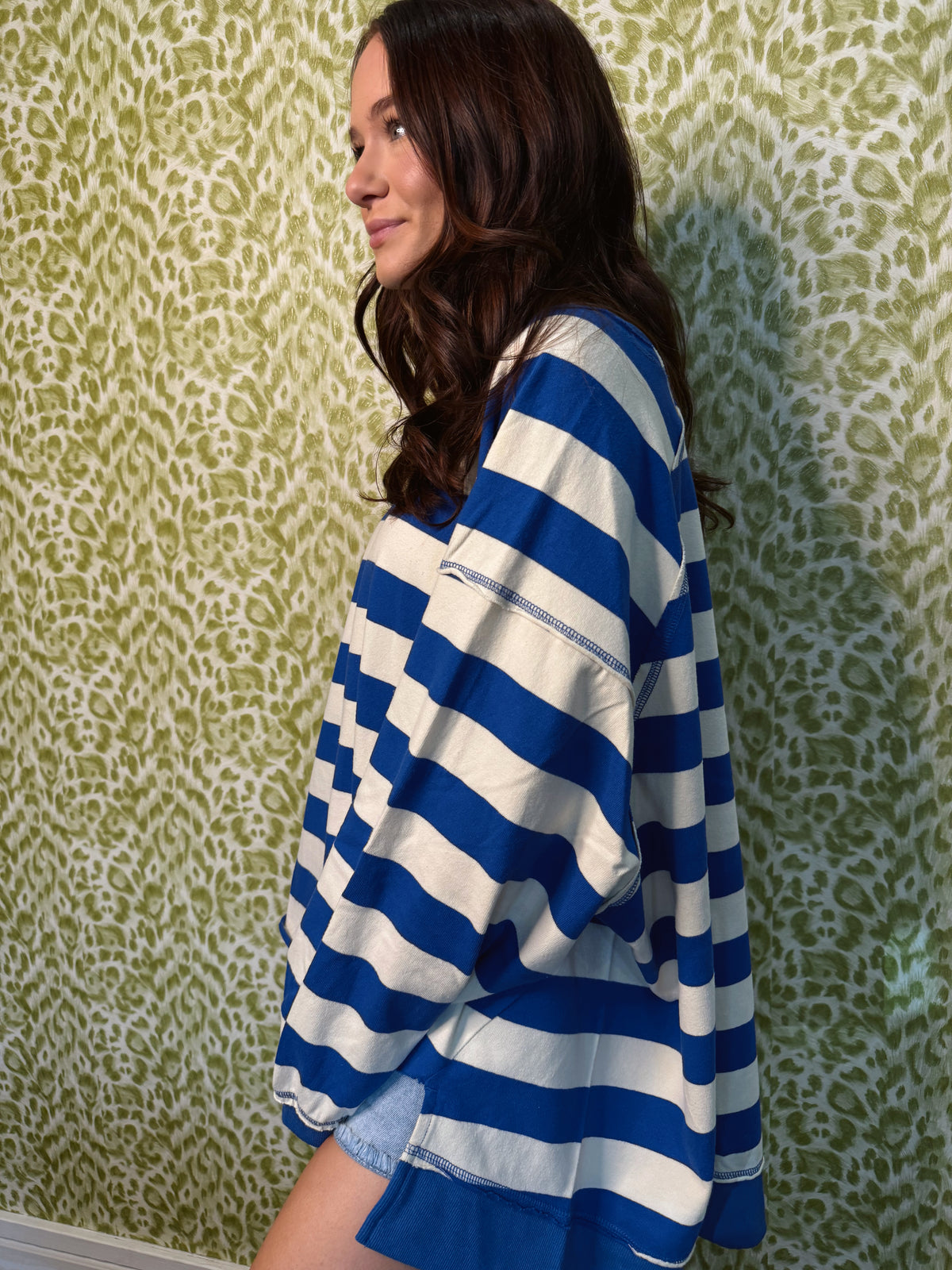 Bulldog Blue Striped Pullover