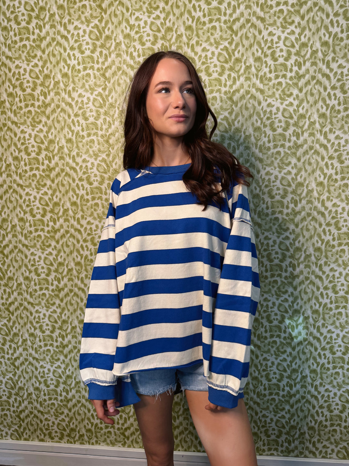 Bulldog Blue Striped Pullover