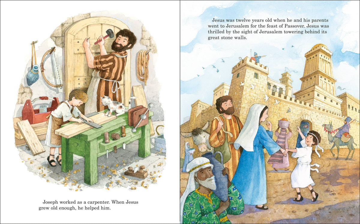 The Story Of Jesus (BGB)